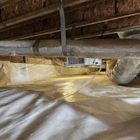 The CrawlSpace King ico