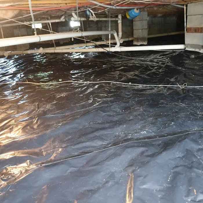 The CrawlSpace King Picture 4