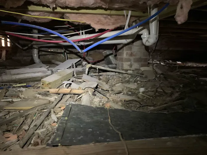 The CrawlSpace King Picture 5