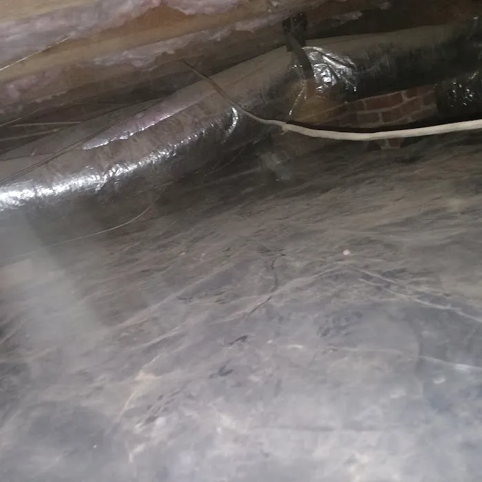 The CrawlSpace King Picture 9