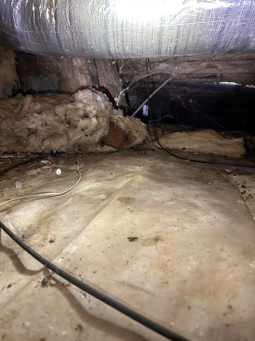 The CrawlSpace King Picture 10