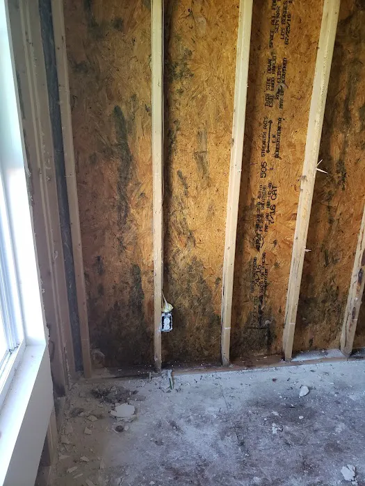 Renew Restoration and Cleaning Service Picture 8