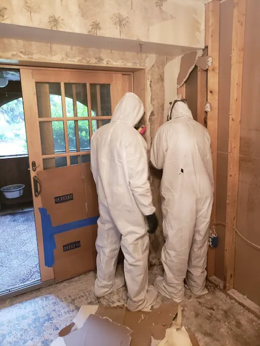 Renew Restoration and Cleaning Service Picture 9