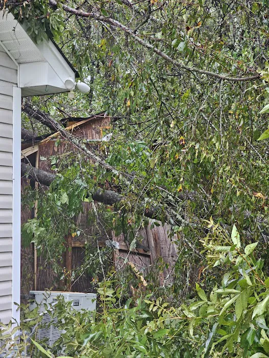 Paul Davis Restoration of Rock Hill Picture 6