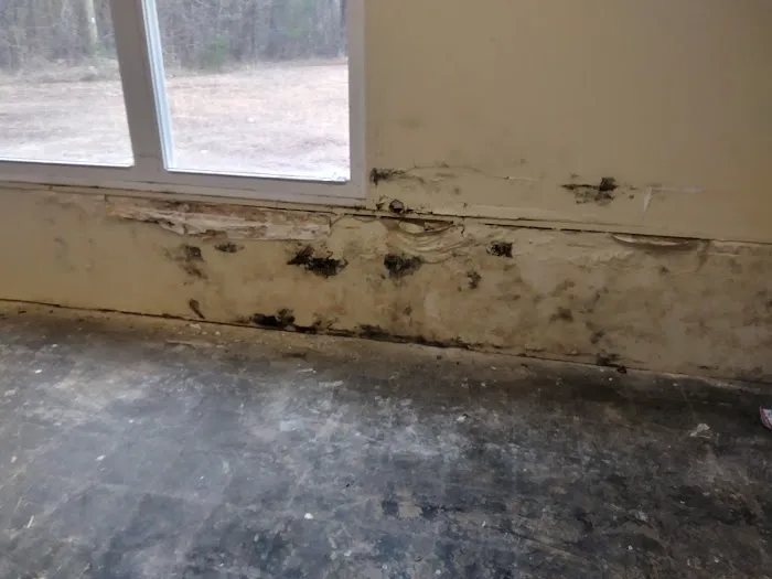 CleanTech Picture 10