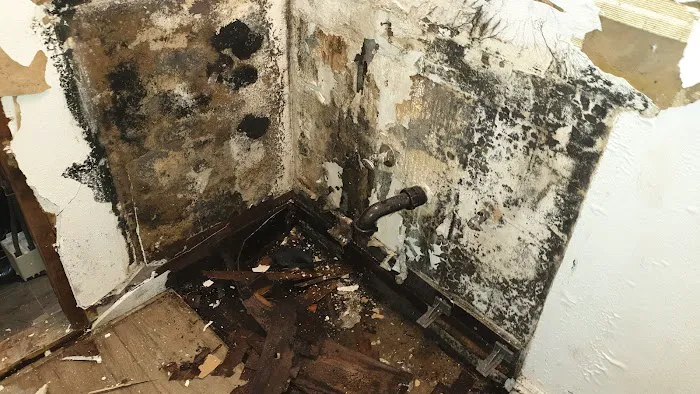 Enviro-Tek Remediation Picture 3