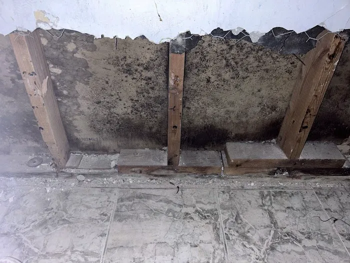 Enviro-Tek Remediation Picture 6