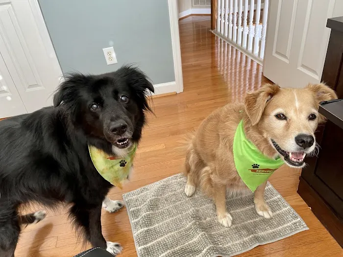 SERVPRO of Iredell County Picture 2