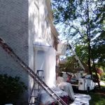 Bill Pope's painting and remodeling