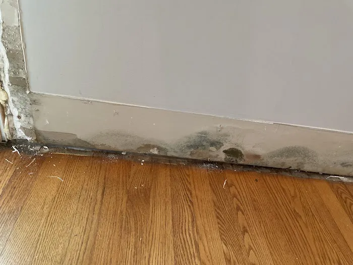 STOP Restoration Charlotte North Picture 6