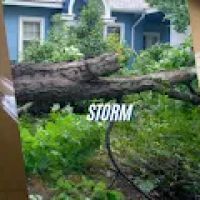 Emergency Restoration Xperts (ERX) ico