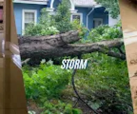 Emergency Restoration Xperts (ERX)