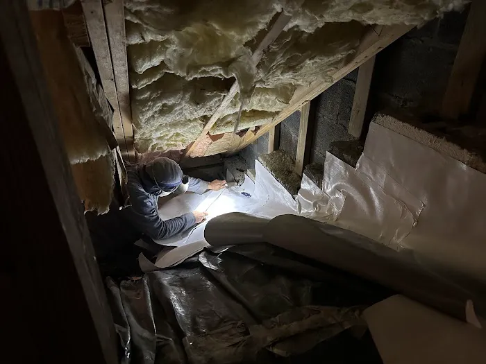 Clean & Dry Environmental Solutions Picture 5