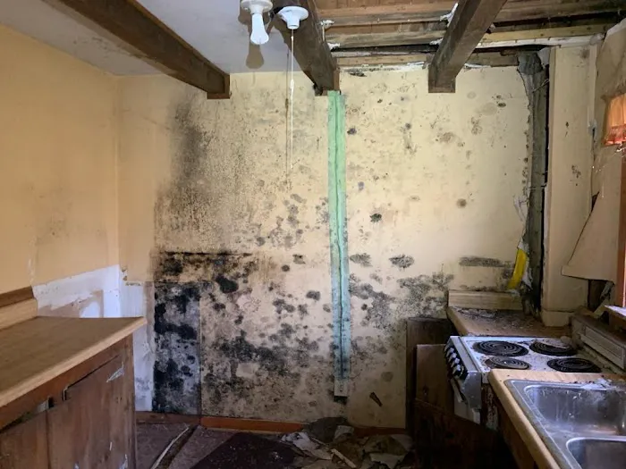 United Water Restoration Group of Charlotte Picture 10