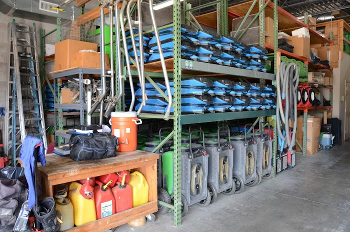 Action Restoration Picture 6