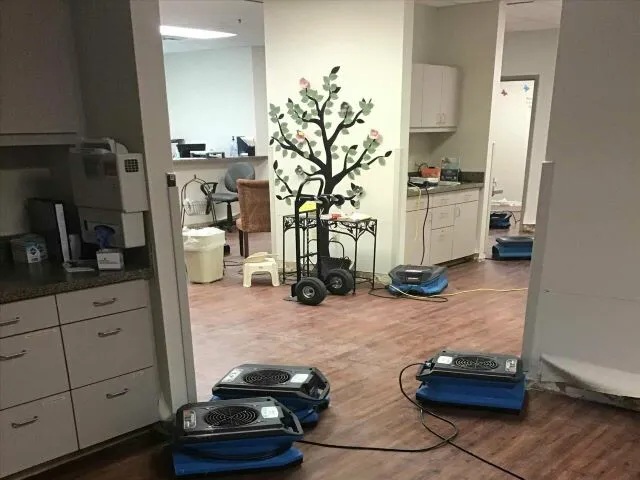 Action Restoration Picture 7