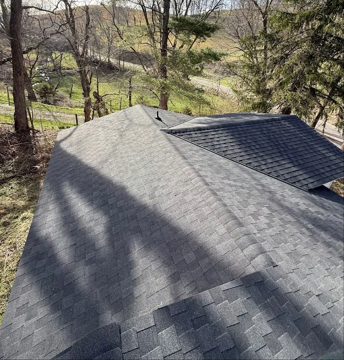 Rife Remodeling & Flooring Picture 5