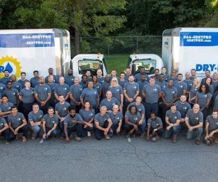 Dry Pro Foundation and Crawlspace Specialists