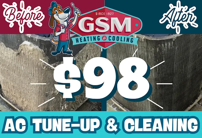 GSM Services Picture 2