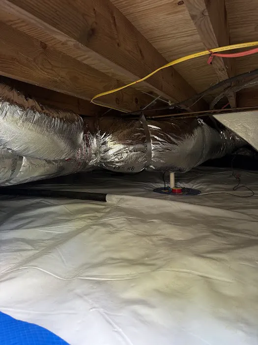 GSM Services Picture 5