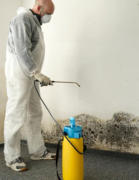 ADU Water Fire Mold Storm Picture 3