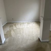 COIT Cleaning and Restoration ico