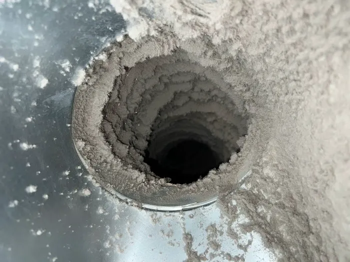 COIT Cleaning and Restoration Picture 2