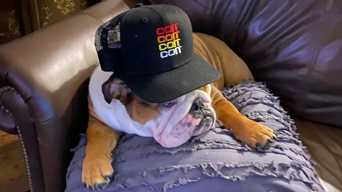 COIT Cleaning and Restoration Picture 3