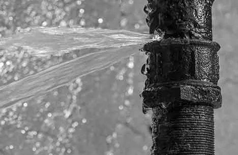 BELFOR Property Restoration Picture 4