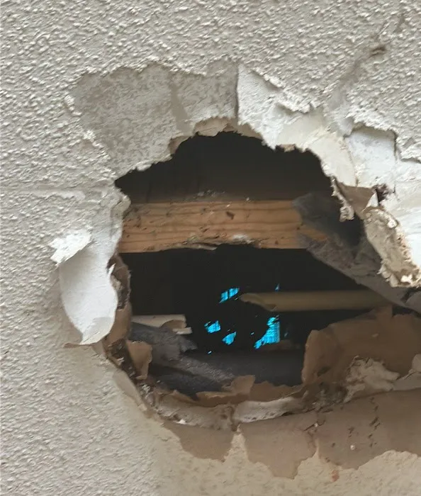 Edmondson Restoration Picture 10