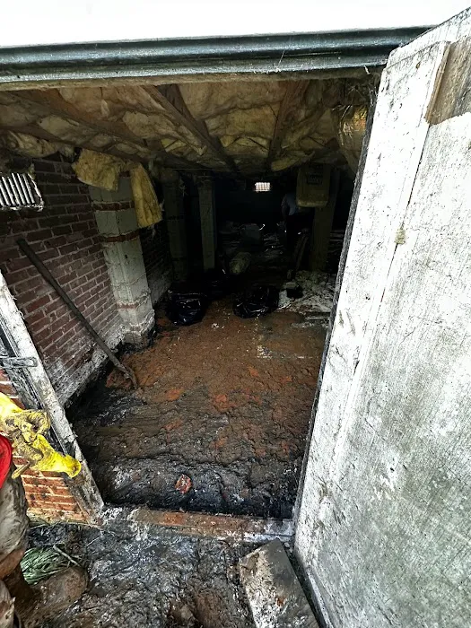 Premier Water Damage Picture 10