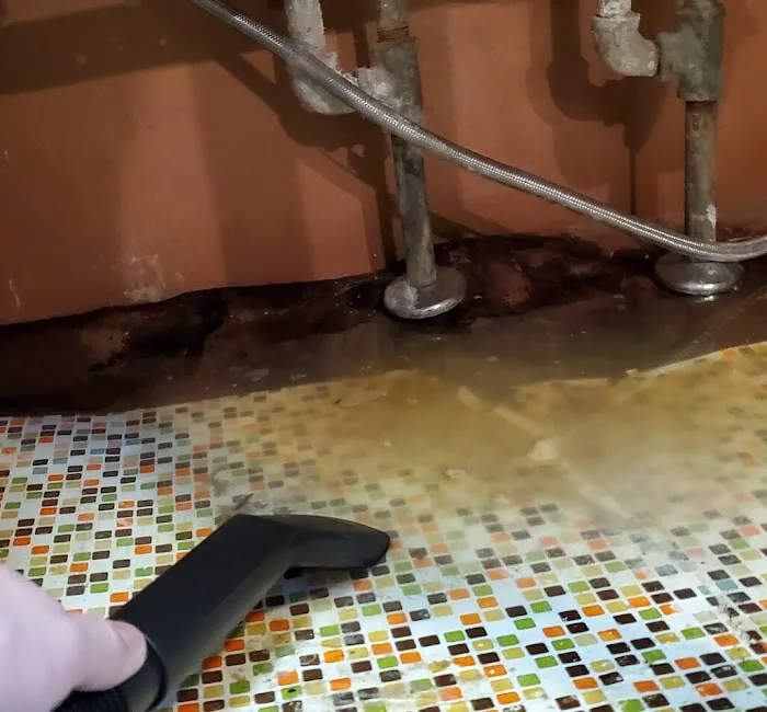 Restoration Master Picture 10