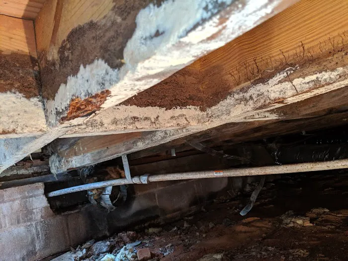 All Clean Services Picture 4