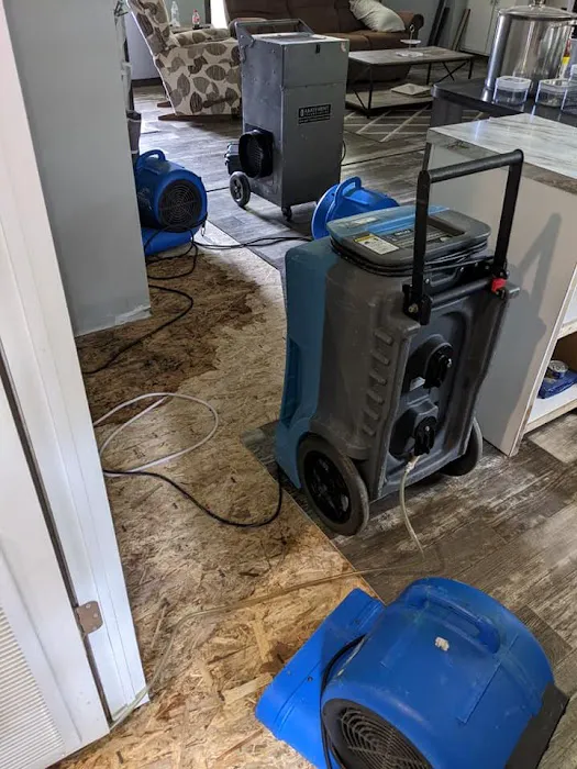 All Clean Services Picture 10