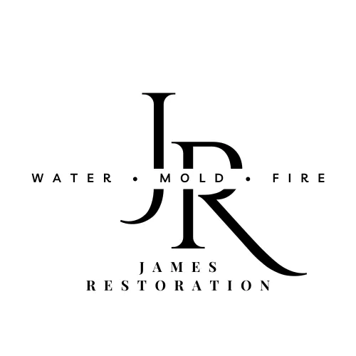 James Restoration Picture 1