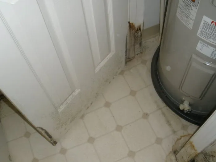 Paul Davis Restoration of Charlotte Picture 7