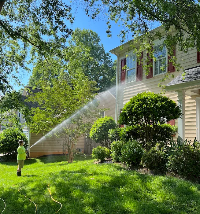 Green Wave Cleaning Solutions LLC Picture 3