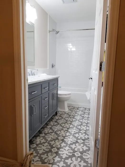 Max Remodeling Services Inc Picture 2