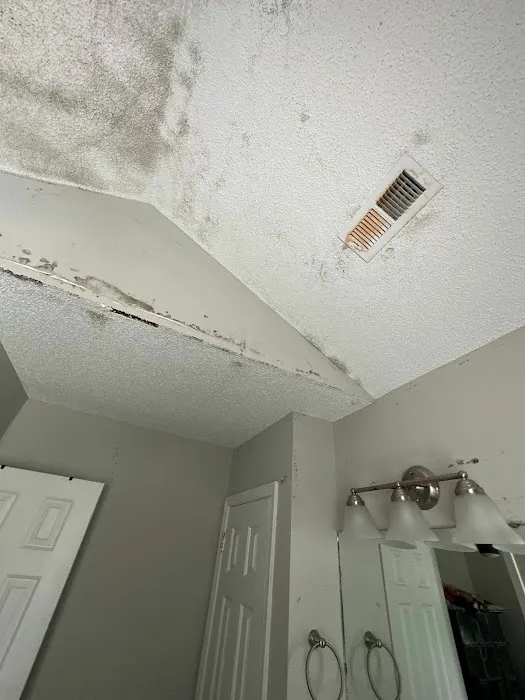 Phantom Water Damage & Restoration Picture 4