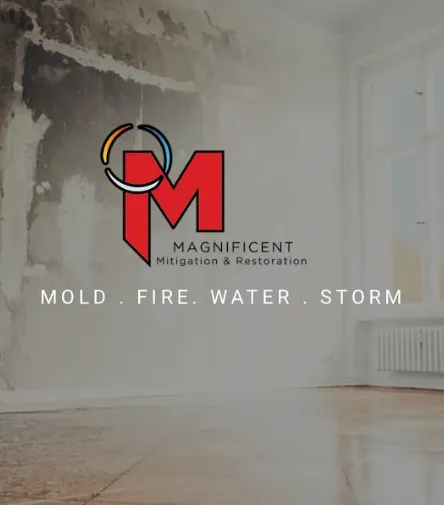 Magnificent Mitigation & Restoration Picture 2