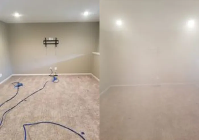 Pure Air - Charlotte Picture 3