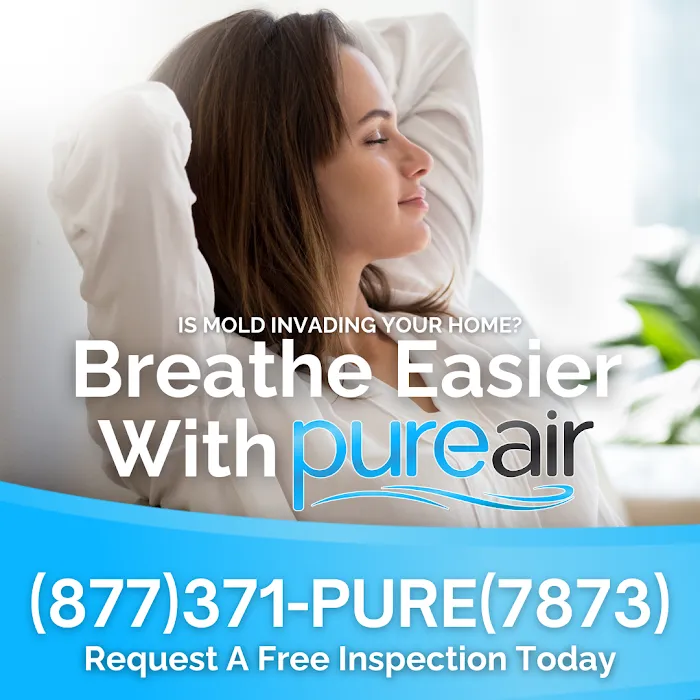 Pure Air - Charlotte Picture 7