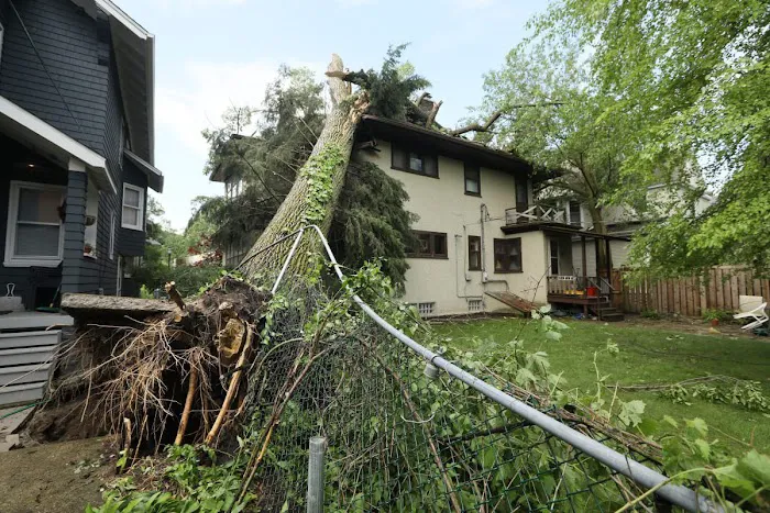 Mission Restorations Picture 2