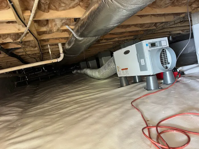 Dry Otter Waterproofing - Charlotte Picture 2