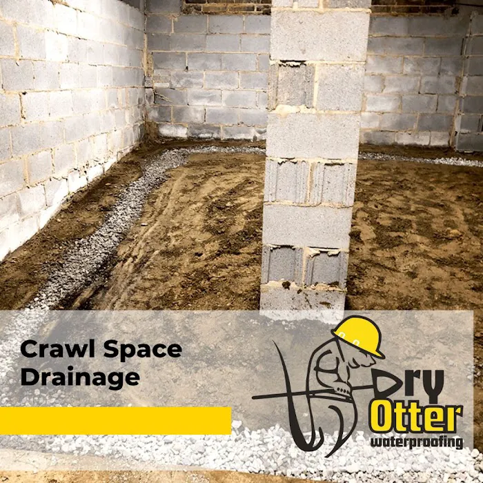 Dry Otter Waterproofing - Charlotte Picture 10