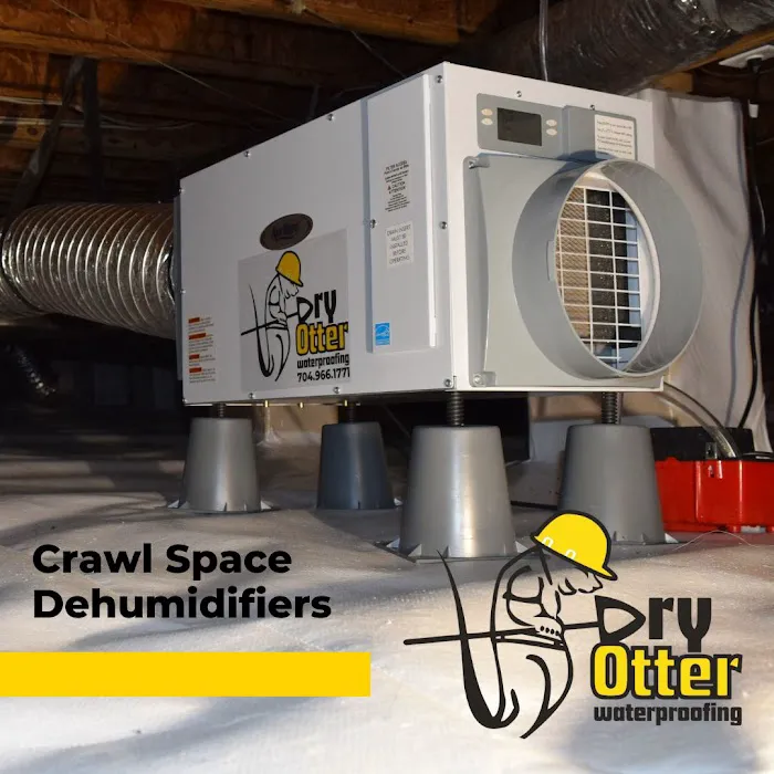 Dry Otter Waterproofing - Charlotte Picture 9