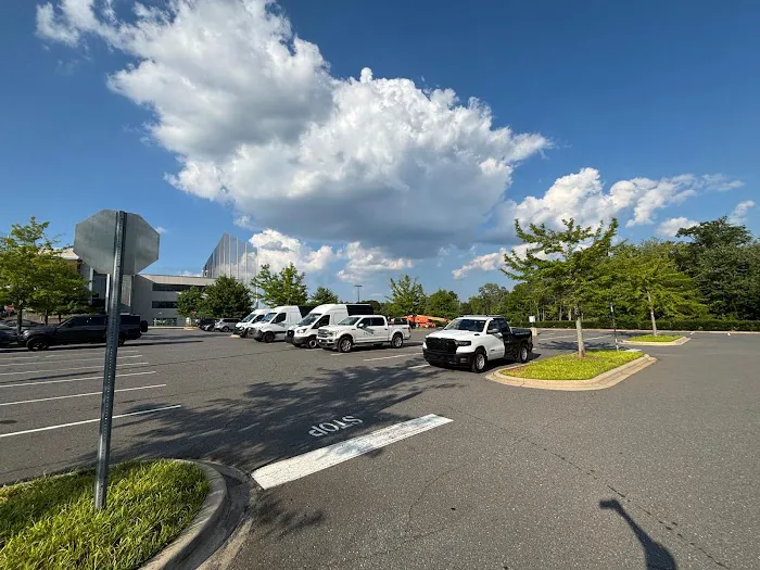 PALM BUILD Picture 1