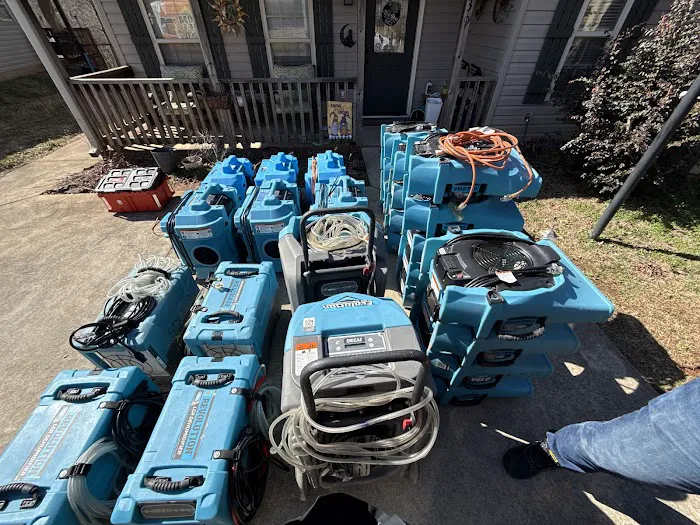 PALM BUILD Picture 2