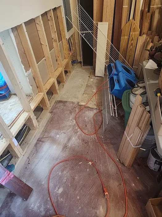 PALM BUILD Picture 4