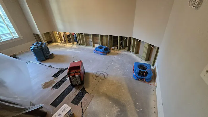 PALM BUILD Picture 10